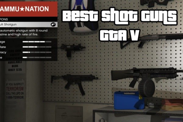 Best Shot Guns GTA V